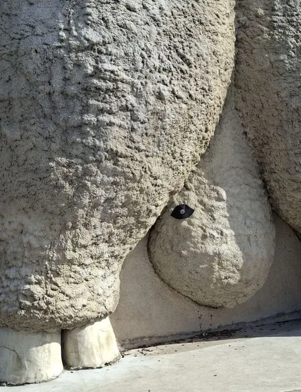 Coleco Trading hat perched on the Big Merino